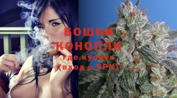 PSILOCYBIN Кинешма