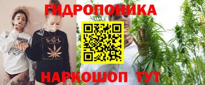 амф Донской