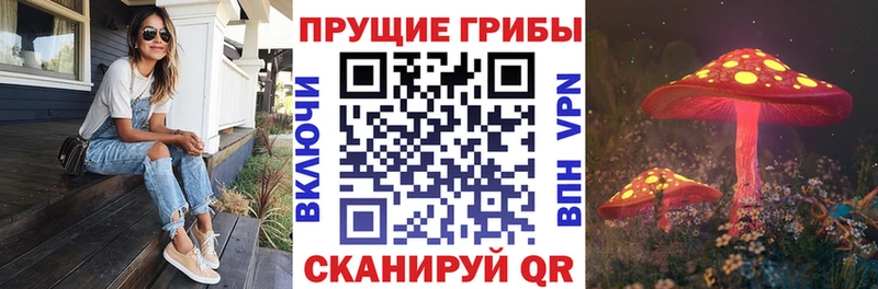 Галлюциногенные грибы Magic Shrooms  как найти наркотики  Йошкар-Ола 