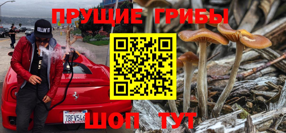 Йошкар-Ола  Галлюциногенные грибы MAGIC MUSHROOMS  Вход с VPN  Галлюциногенные грибы MAGIC MUSHROOMS 