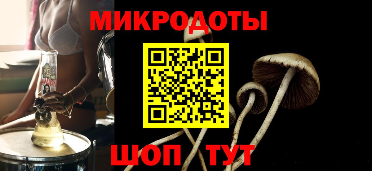 Псилоцибиновые грибы прущие грибы Йошкар-Ола